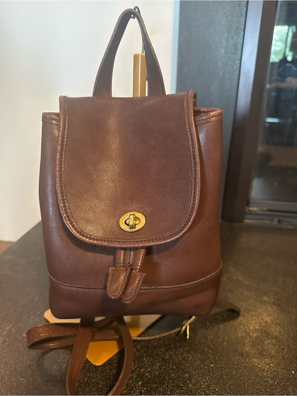 Coach Brown Leather Daypack